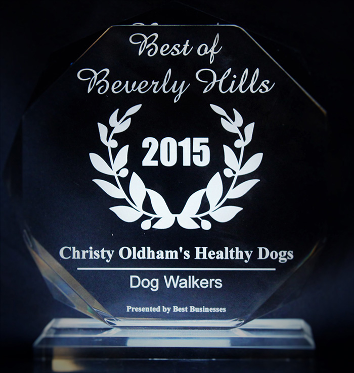 Best of Beverly Hills - Healthy Dogs petsitting Service